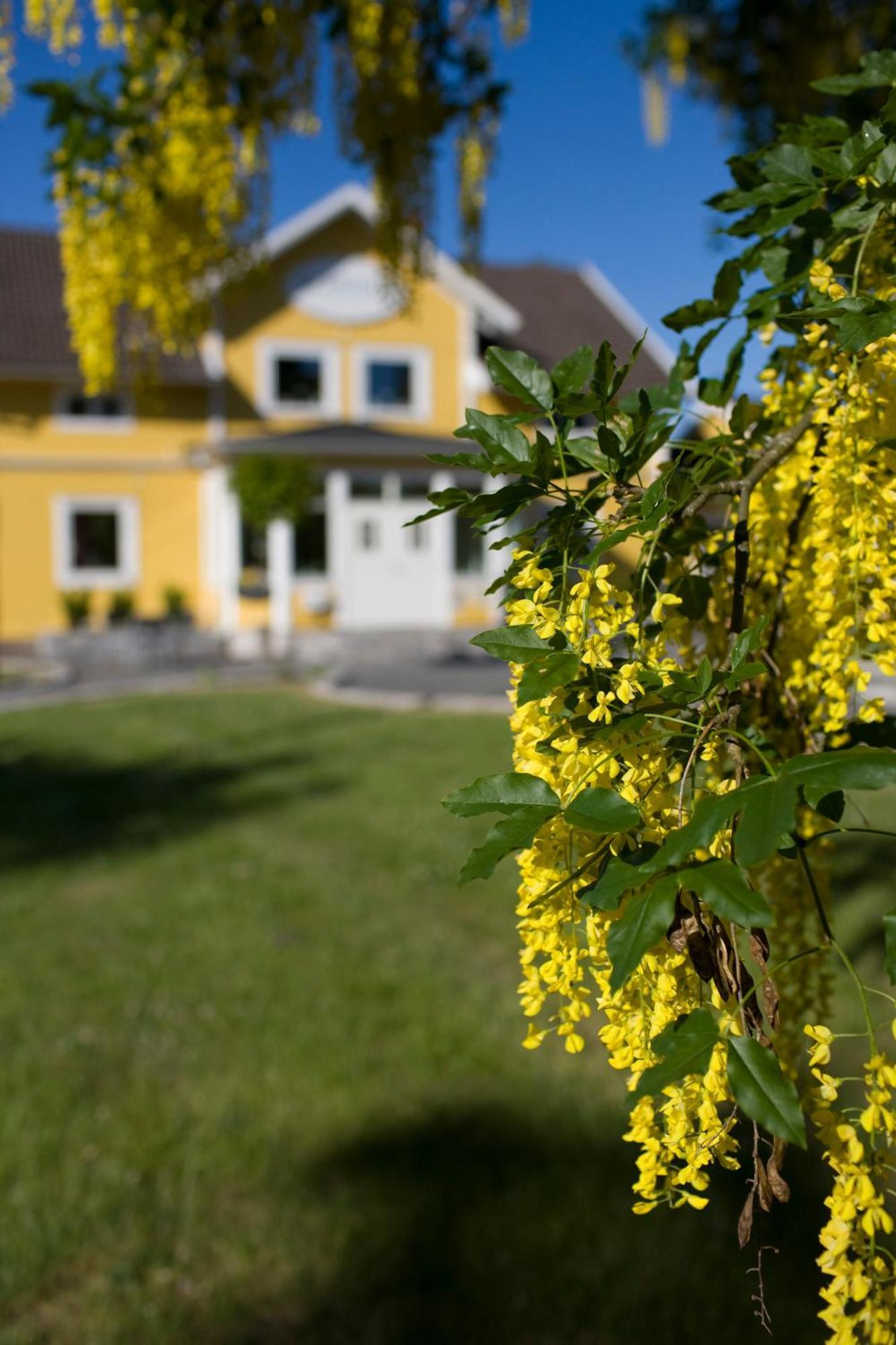 Hotell Bjoerkhaga Mullsjö エクステリア 写真