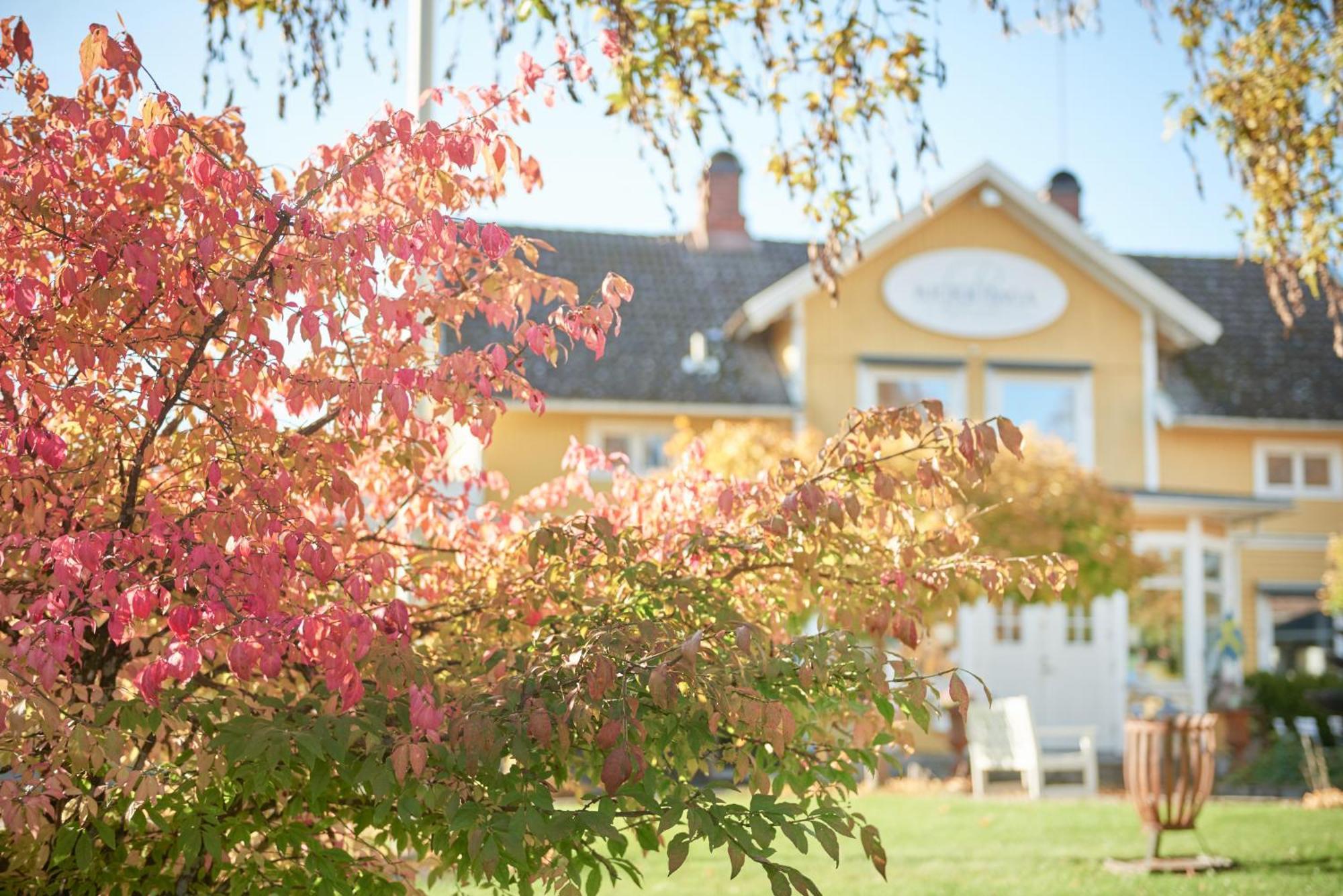 Hotell Bjoerkhaga Mullsjö エクステリア 写真